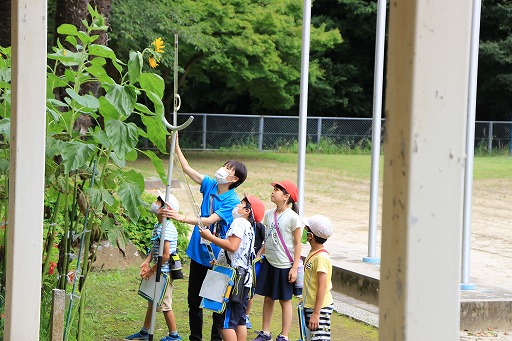 印西市立船穂小学校-