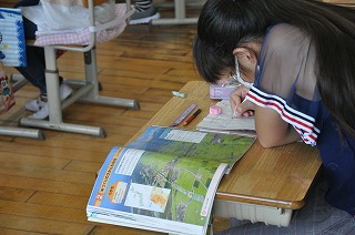 ５年社会 米づくりのさかんな地域 印西市立平賀小学校