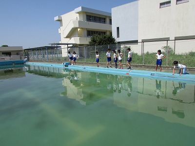 プールのメダカ 印西市立木刈小学校