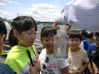 印西市立本埜小学校